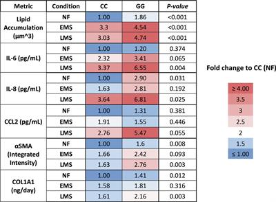 Comparison of wild-type and high-risk PNPLA3 variants in a human biomimetic liver microphysiology system for metabolic dysfunction-associated steatotic liver disease precision therapy